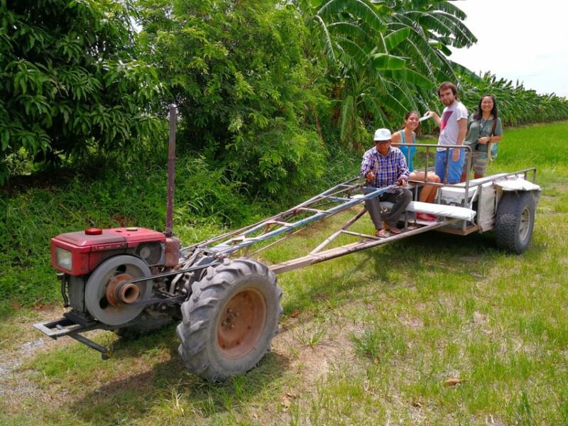 From Bangkok: Mahasawat Canal and Organic Fruit Farm Tour - Drop-off Locations