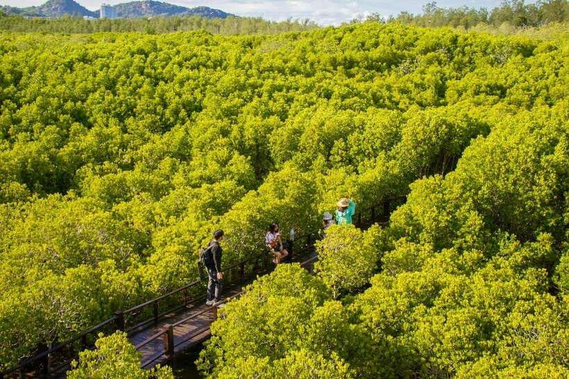 From Bangkok or Hua Hin: Hua Hin Tour With Private Charter - Additional Services and Language Support