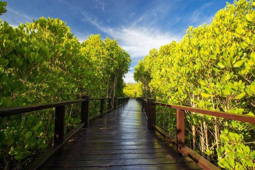 From Bangkok or Hua Hin: Hua Hin Tour With Private Charter - Frequently Asked Questions