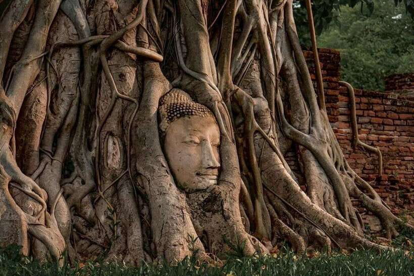 From Bangkok: Private Guided Ayutthaya Day Tour - Tour Inclusions