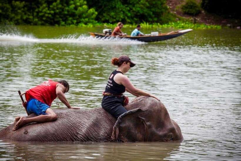 From Bangkok: Private Guided Ayutthaya Day Tour - Important Information