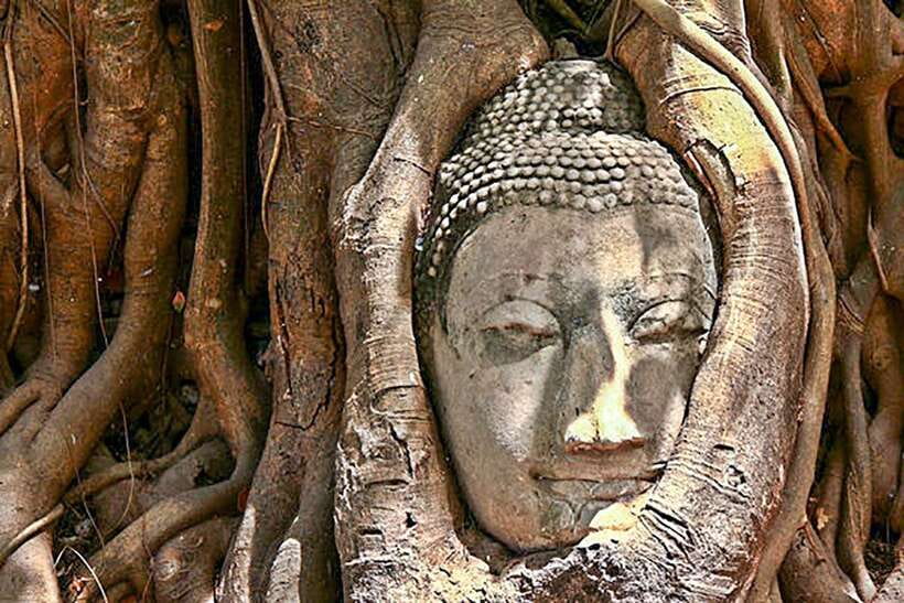 From Bangkok: Tour Ayutthaya + Lunch + Spanish Guide - Inclusions and Exclusions