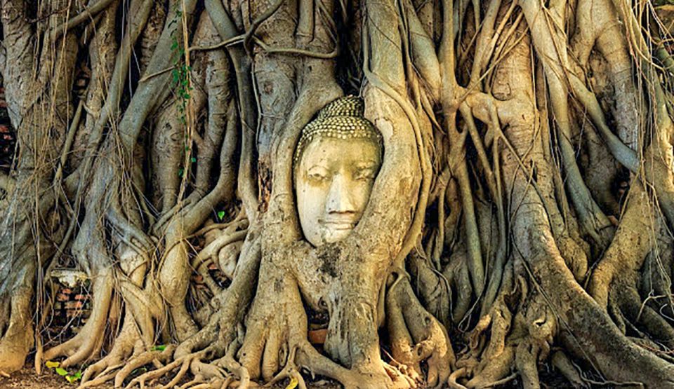 From Bangkok: Tour Ayutthaya + Lunch + Spanish Guide - Tour Options