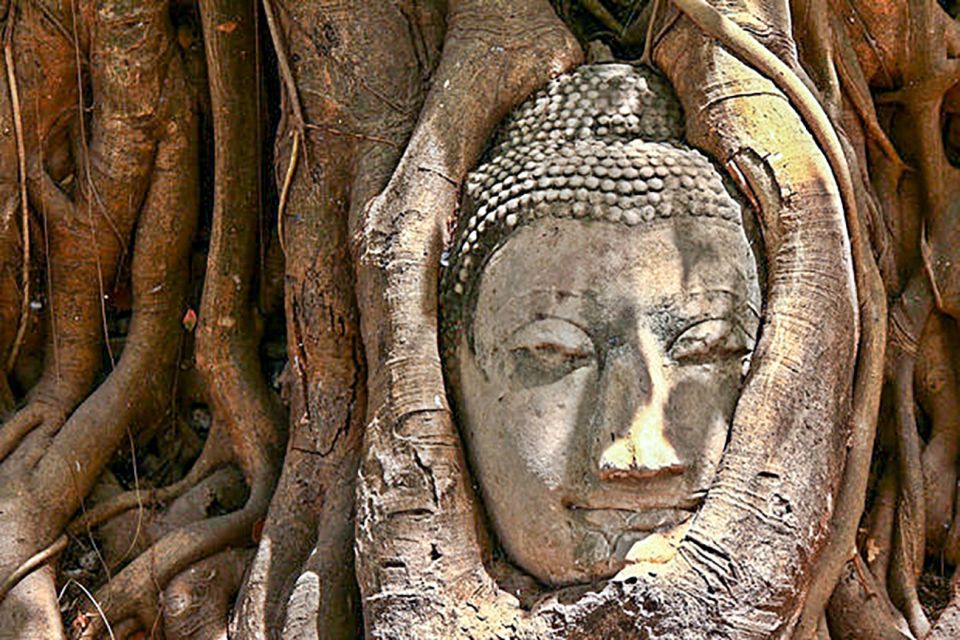 From Bangkok: Tour Ayutthaya + Lunch + Spanish Guide - Transportation
