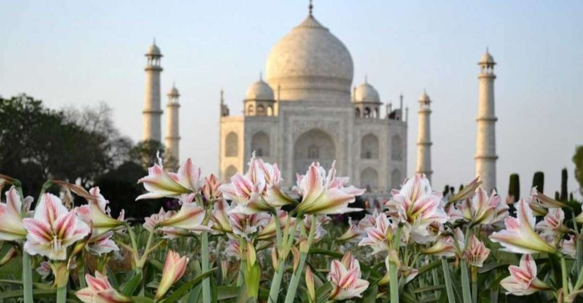 From Banglore: Private Guided Tajmahal Day Trip With Lunch - Itinerary and Transportation