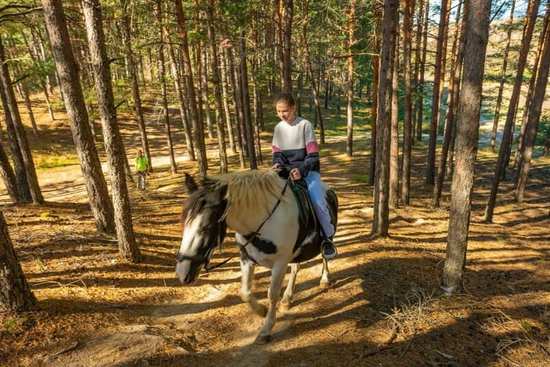 From Bansko: Horse Riding Experience - Who Should Consider This Experience?