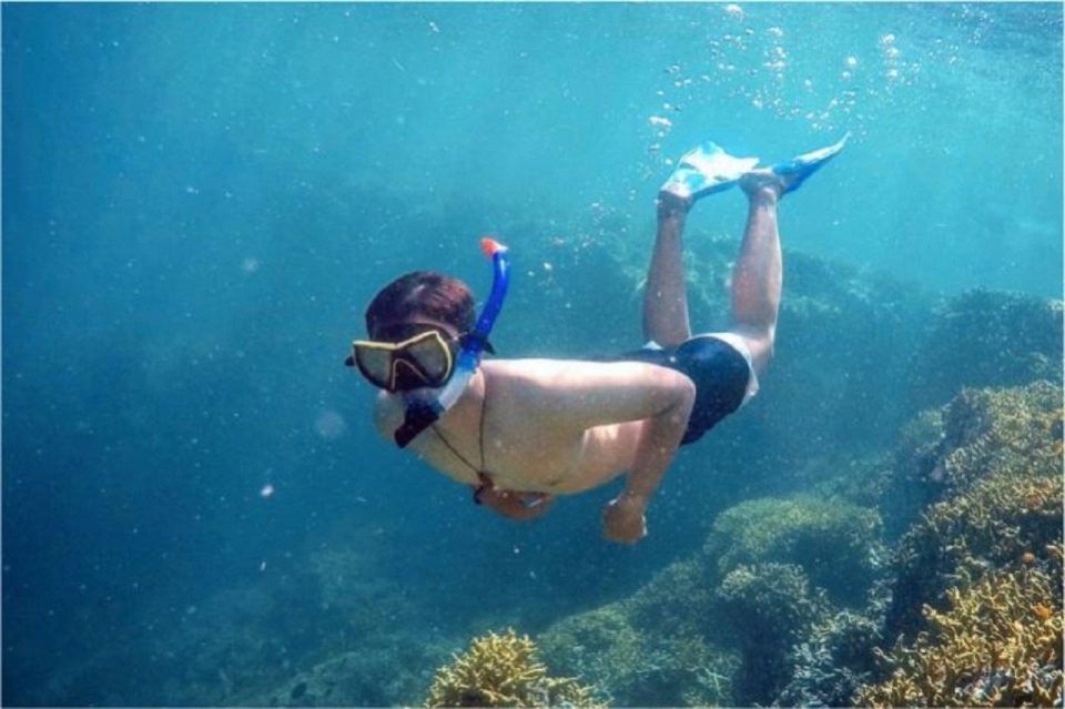 From Banyuwangi: A Private Tour of Menjangan & Tabuhan - Key Points