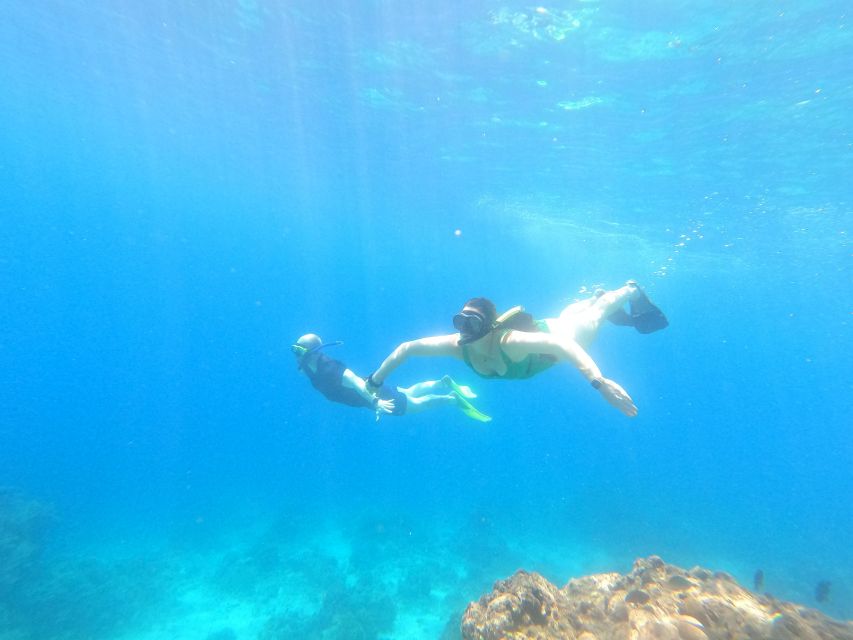 From Banyuwangi: A Private Tour of Menjangan & Tabuhan - Menjangan Island Exploration