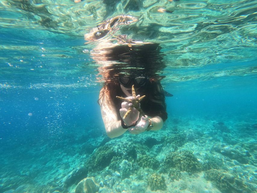 From Banyuwangi: A Private Tour of Menjangan & Tabuhan - Snorkeling Experiences