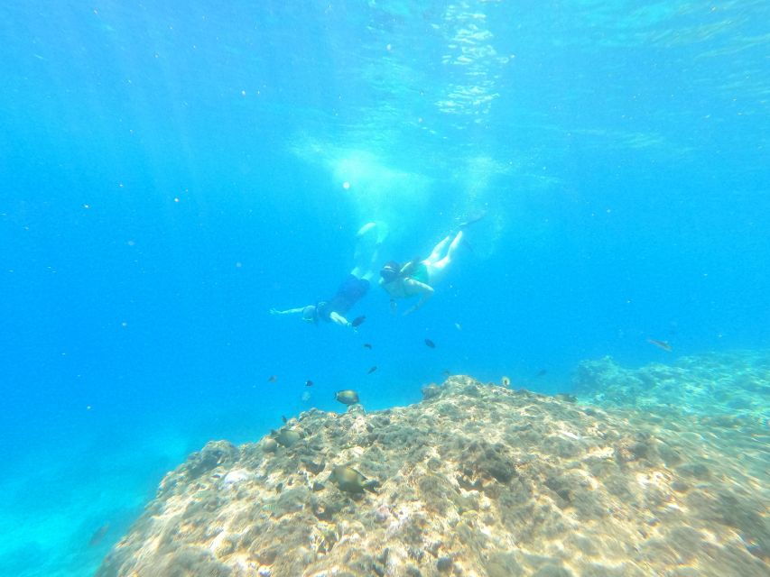 From Banyuwangi: A Private Tour of Menjangan & Tabuhan - Inclusions and Exclusions