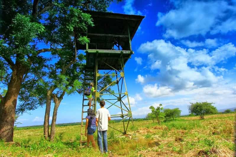 From Banyuwangi: Baluran Wildlife Safari Sunset Tour - Good To Know