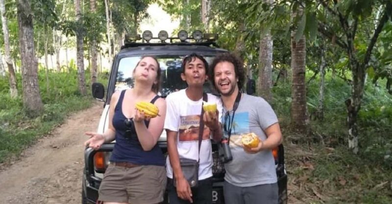 From Banyuwangi : Cheap Private Transfer to Kawah Ijen - Transfer Details