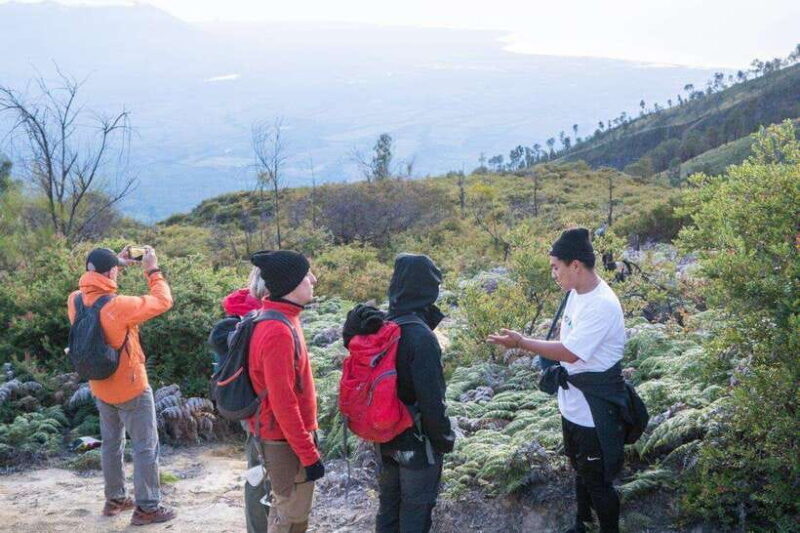 From Banyuwangi: Day Trip to Ijen Volcano with Guided Trek - A Detailed Look at the Ijen Trip Experience