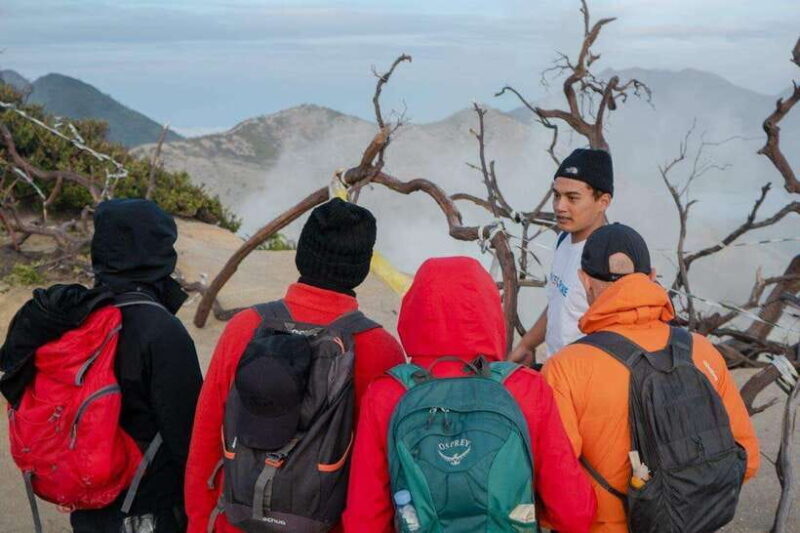From Banyuwangi: Day Trip to Ijen Volcano with Guided Trek - Who Is This Tour Best For?