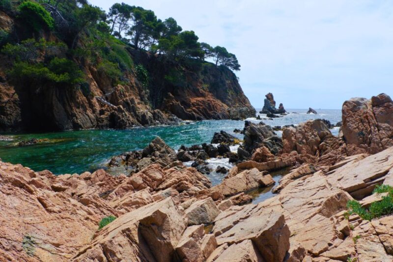 From Barcelona: Cliffs, Coves & Hiking in Costa Brava - Experience Highlights
