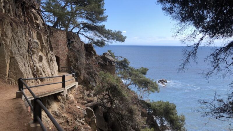 From Barcelona: Cliffs, Coves & Hiking in Costa Brava - Inclusions