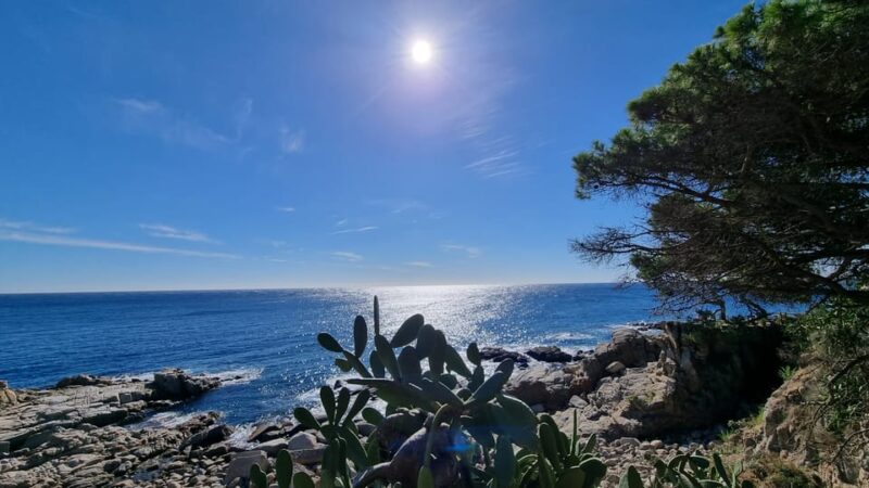 From Barcelona: Costa Brava Coastline Medieval Village Tour - Tour Experience