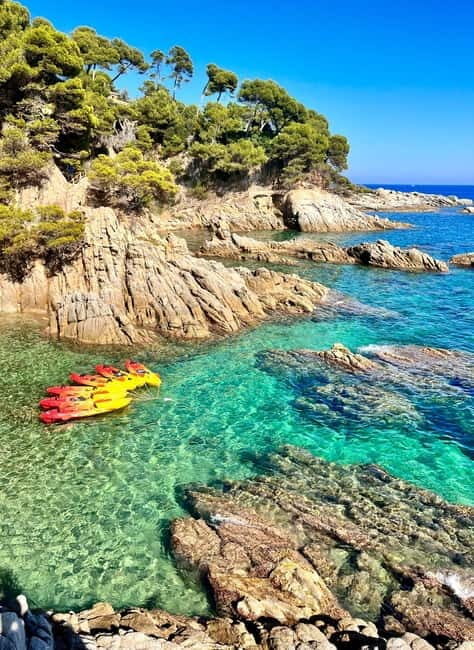 From Barcelona: Costa Brava Kayak & Snorkel Tour with Picnic - Why You’ll Love This Costa Brava Kayak & Snorkel Tour