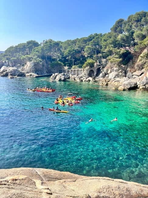 From Barcelona: Costa Brava Kayak & Snorkel Tour with Picnic - Who Should Consider This Tour?