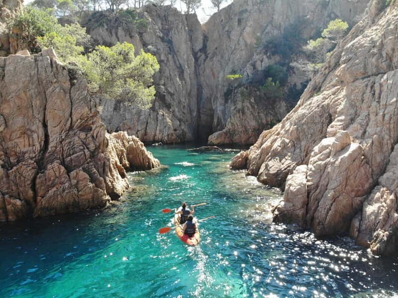 From Barcelona: Costa Brava Private Tour with Lunch - Final Thoughts