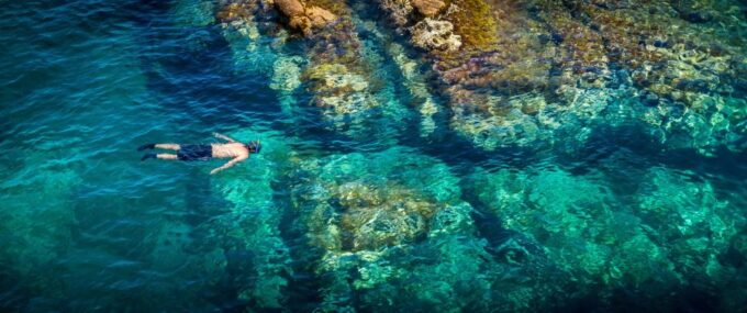 From Barcelona: Costa Brava Trails, Snorkeling & Cliff Jump - Knowledgeable and Friendly Tour Guides