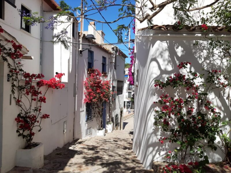 From Barcelona: Costa Brava Typical Towns Full Day Tour - Calella De Palafrugell