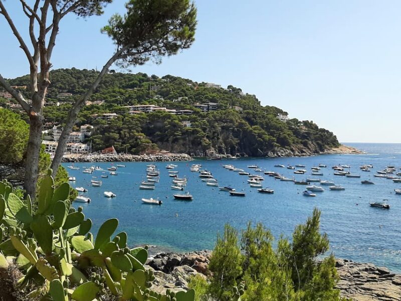 From Barcelona: Costa Brava Typical Towns Full Day Tour - Llafranc