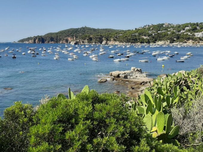 From Barcelona: Costa Brava Typical Towns Full Day Tour - Frequently Asked Questions