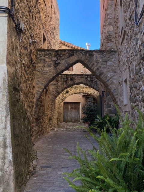 From Barcelona: Girona, Besalú & Castellfollit Day Trip - Participant Suitability and Recommendations