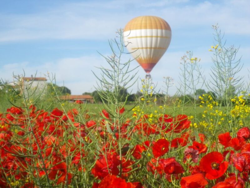 From Barcelona: Half-Day Hot Air Balloon Flight Ticket - Key Points