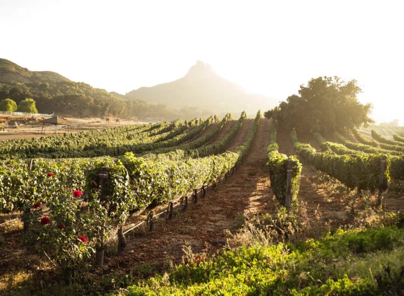 From Barcelona: Half-Day Trip to Montserrat Mountain - Montserrat Mountain History