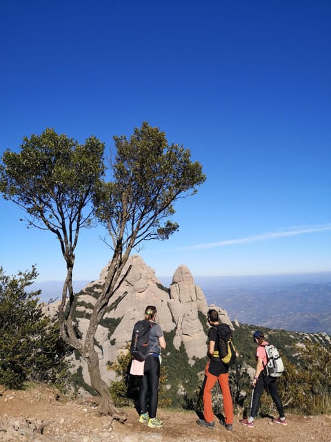 From Barcelona: Montserrat Monastery and Easy Sightseeing Tour - Requirements and Restrictions