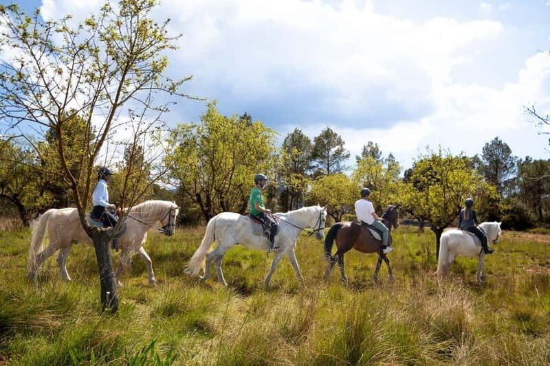 From Barcelona: Montserrat Walking and Horseback Riding Tour - An Overview of What to Expect