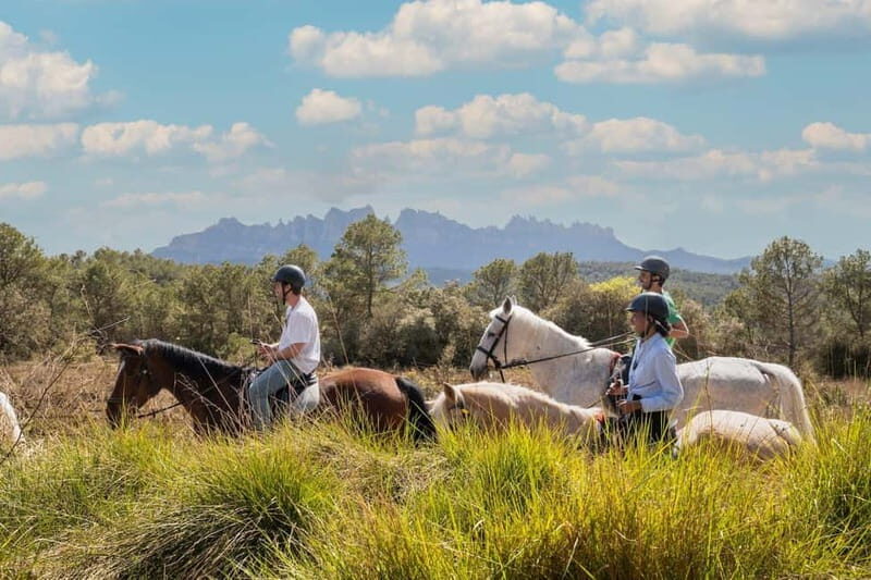 From Barcelona: Montserrat Walking and Horseback Riding Tour - Who Will Enjoy This Tour?
