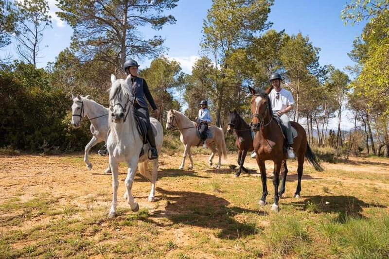 From Barcelona: Montserrat Walking and Horseback Riding Tour - Frequently Asked Questions