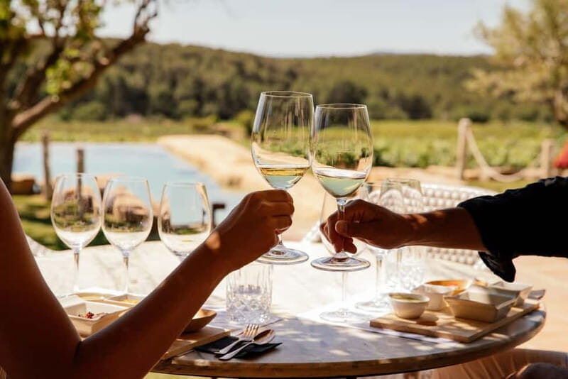 From Barcelona Premium Wine Tasting at Boutique Winery +Food - Who Will Love This Tour?