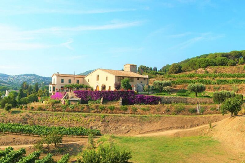 From Barcelona: Private Alella Wine Tour by Electric Bike - Key Points