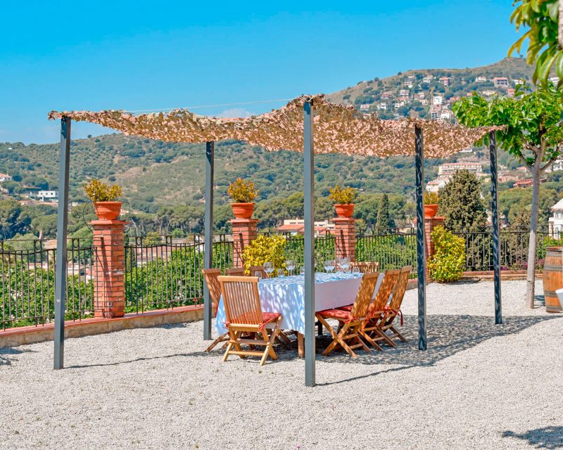 From Barcelona: Private Alella Wine Tour by Electric Bike - Itinerary and Activities