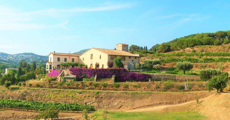 From Barcelona: Private Alella Wine Tour by Electric Bike - Inclusions