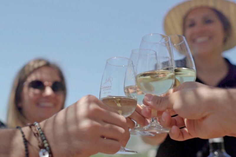 From Barcelona: Private Alella Wine Tour by Electric Bike - Exclusions