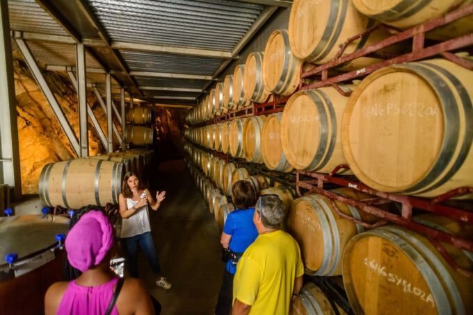 From Barcelona: Private Alella Wine Tour by Electric Bike - Weather Considerations