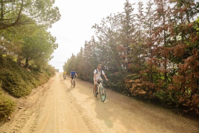 From Barcelona: Private Alella Wine Tour by Electric Bike - How to Book
