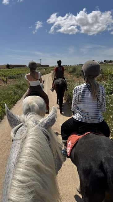From Barcelona: PRIVATE Horseback Ride + Tapas + Picnic - The Sum Up: Who Will Love This Tour?