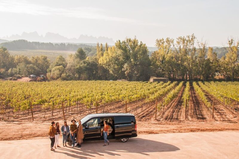 From Barcelona: Private Wine, Tapas and Cava Tour - Key Points