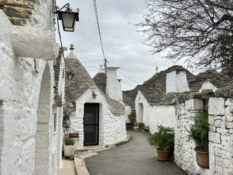 From Bari: Alberobello Half-Day Trip with Guided Tour - Practical Tips for Your Trip