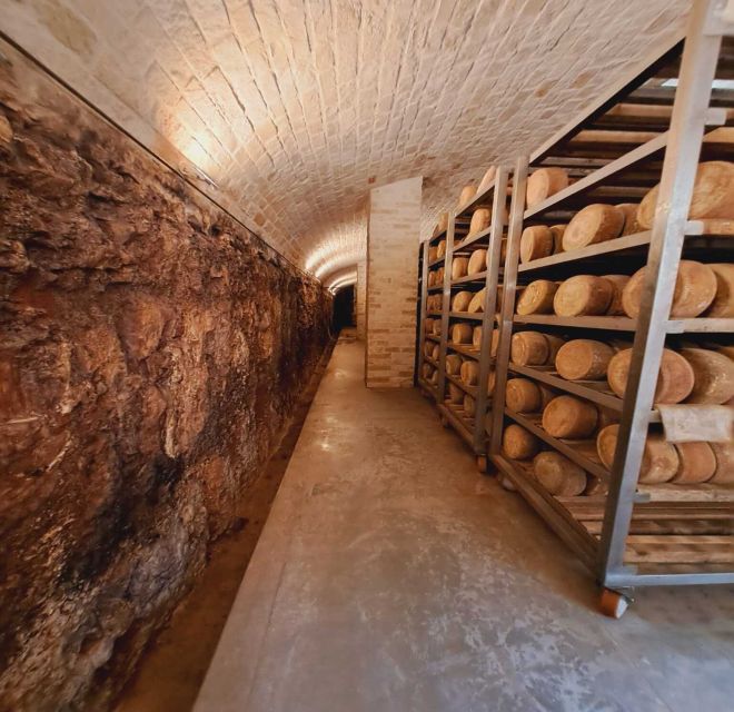 From Bari: Burrata cheese experience in a local dairy farm - What to Expect on the Burrata Cheese Tour