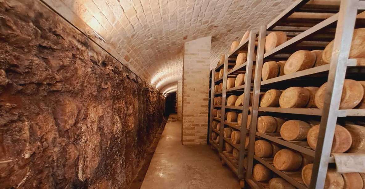 From Bari: Burrata Cheese Experience in a Local Dairy Farm - Key Points