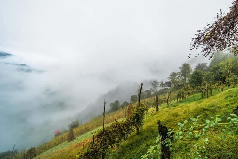 From Batumi: Songs & Flavors of Merisi Village - Key Points