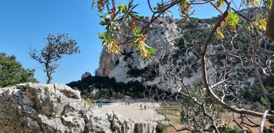 From Baunei: Cala Luna and Dorgali Full-Day Guided Trek - Whats Included in the Tour
