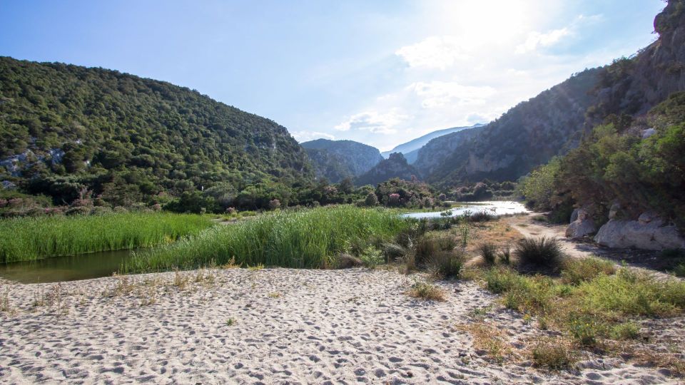 From Baunei: Cala Luna and Dorgali Full-Day Guided Trek - Participant Requirements